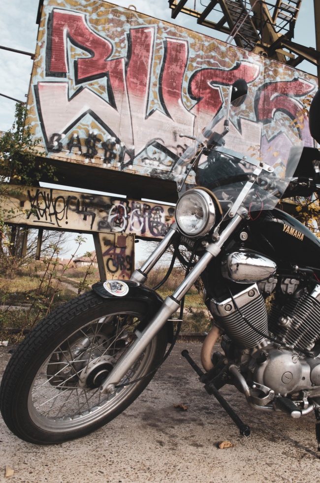 被传进神社 龚俊金年会:以前未尝 来日也毫不会进入插图 被传进神社 龚俊金年会:以前未尝 来日也毫不会进入插图